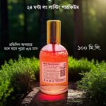 Classic wooden chair - Image 4